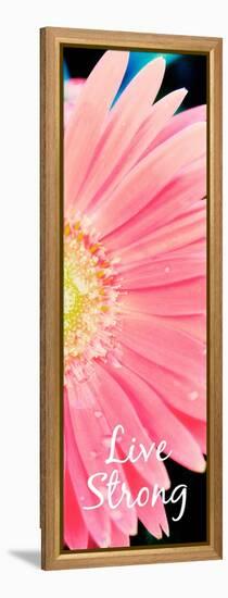 Live Strong Daisy-Susan Bryant-Framed Stretched Canvas