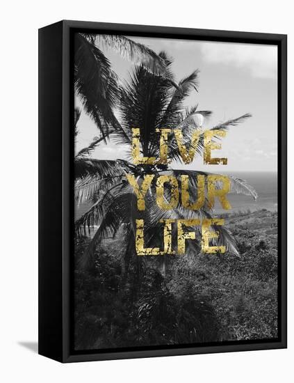 Live Your Life-Sheldon Lewis-Framed Stretched Canvas