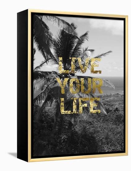 Live Your Life-Sheldon Lewis-Framed Stretched Canvas