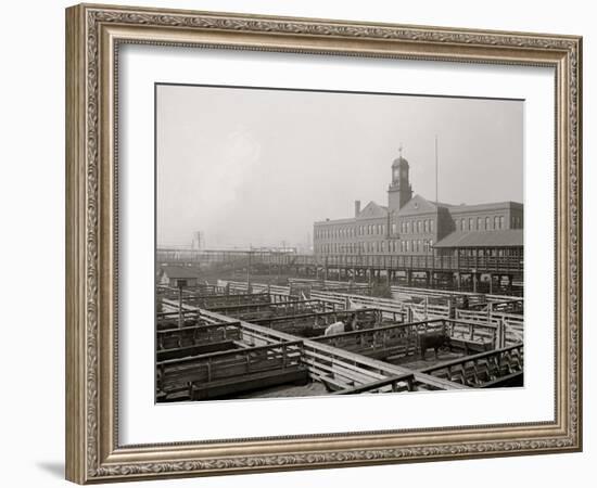 Livestock Exchange, Kansas City, Mo.-null-Framed Photo