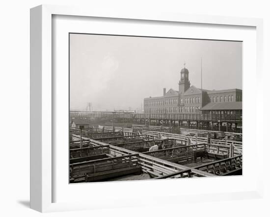 Livestock Exchange, Kansas City, Mo.-null-Framed Photo