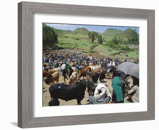 Livestock Market, Sentebe, Abyssinian Region of Choa, Ethiopia, Africa-J P De Manne-Framed Photographic Print