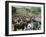 Livestock Market, Sentebe, Abyssinian Region of Choa, Ethiopia, Africa-J P De Manne-Framed Photographic Print