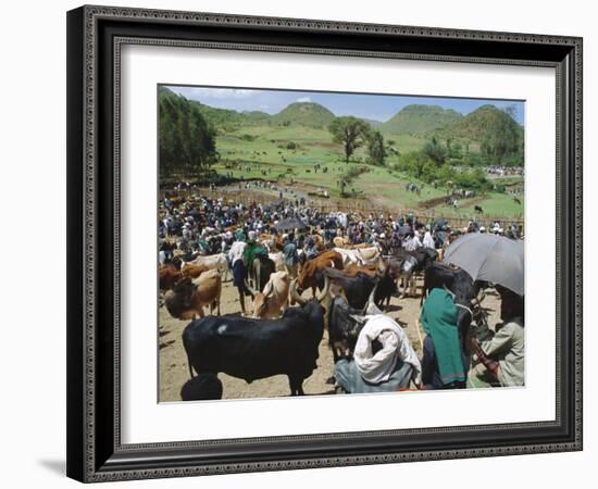 Livestock Market, Sentebe, Abyssinian Region of Choa, Ethiopia, Africa-J P De Manne-Framed Photographic Print