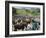 Livestock Market, Sentebe, Abyssinian Region of Choa, Ethiopia, Africa-J P De Manne-Framed Photographic Print