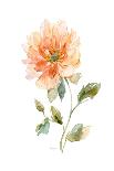 Bright Botanical II-Livi Finn-Art Print