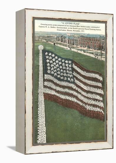 Living Flag at Naval Training Station, Illinois-null-Framed Stretched Canvas