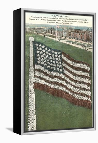 Living Flag at Naval Training Station, Illinois-null-Framed Stretched Canvas