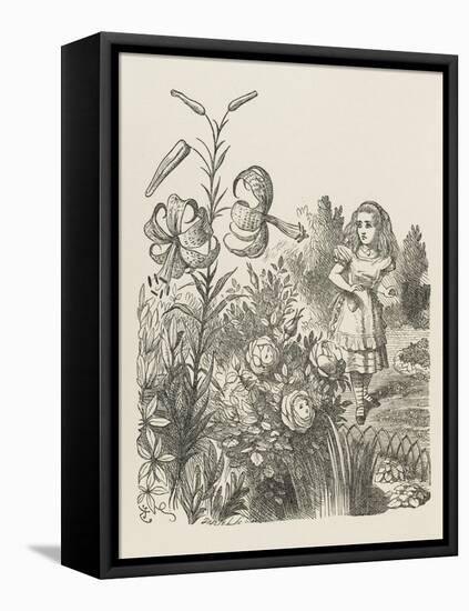 Living Flowers Alice and the Living Flowers-John Tenniel-Framed Stretched Canvas