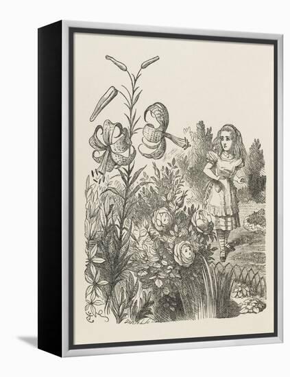 Living Flowers Alice and the Living Flowers-John Tenniel-Framed Stretched Canvas