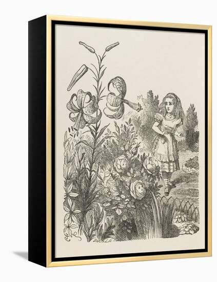 Living Flowers Alice and the Living Flowers-John Tenniel-Framed Stretched Canvas