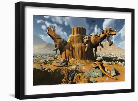 Living Fossils in a Desert Landscape-null-Framed Premium Giclee Print