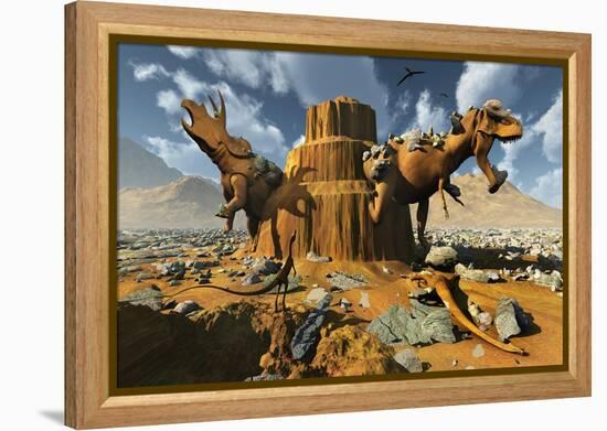 Living Fossils in a Desert Landscape-null-Framed Stretched Canvas