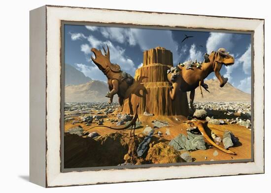 Living Fossils in a Desert Landscape-null-Framed Stretched Canvas