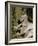 Living Fossils-John Dominis-Framed Photographic Print