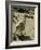 Living Fossils-John Dominis-Framed Photographic Print