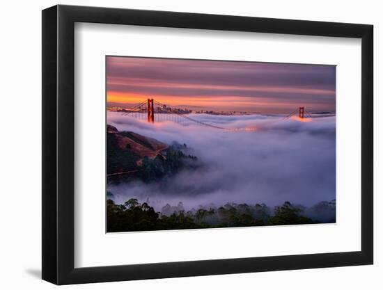 Living in this Dream of Fog and Light, Golden Gate Bridge, San Francisco-Vincent James-Framed Photographic Print