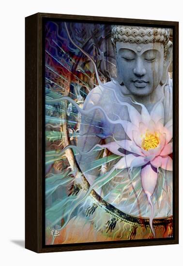 Living Radiance-Fusion Idol Arts-Framed Premier Image Canvas