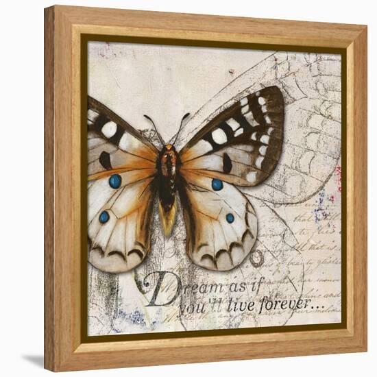 Living your Dreams I-Patricia Pinto-Framed Stretched Canvas