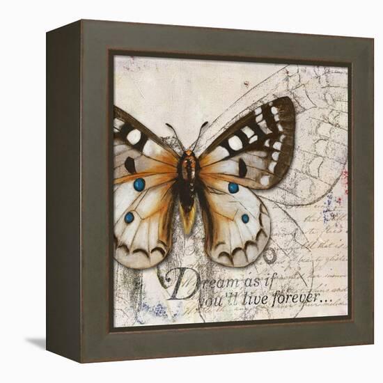 Living your Dreams I-Patricia Pinto-Framed Stretched Canvas