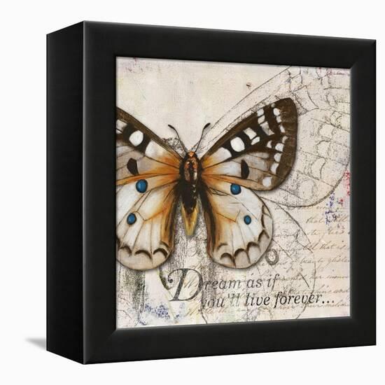 Living your Dreams I-Patricia Pinto-Framed Stretched Canvas