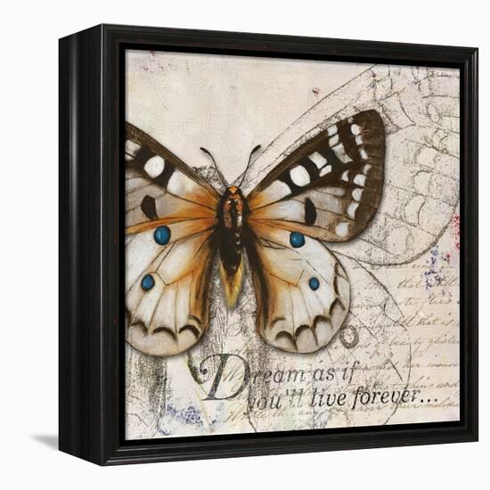 Living your Dreams I-Patricia Pinto-Framed Stretched Canvas