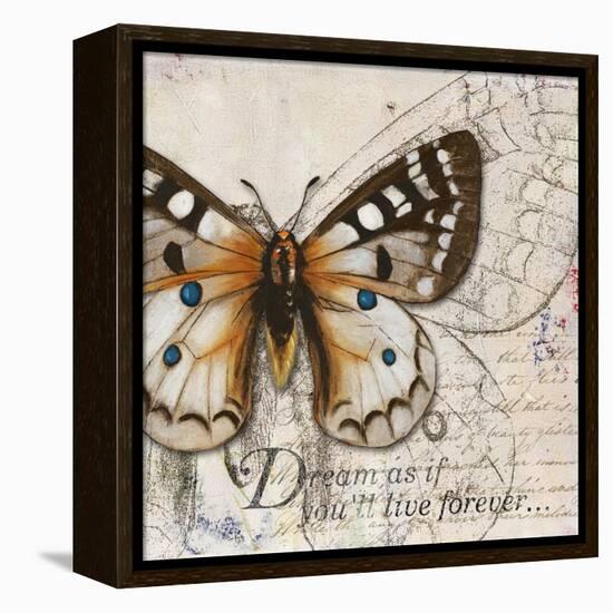 Living your Dreams I-Patricia Pinto-Framed Stretched Canvas