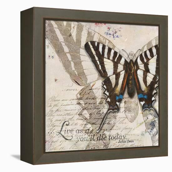 Living your Dreams II-Patricia Pinto-Framed Stretched Canvas