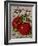 Livingston Tomato-Vintage Apple Collection-Framed Giclee Print