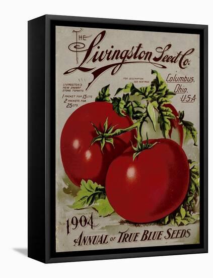 Livingston Tomato-Vintage Apple Collection-Framed Premier Image Canvas