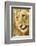 Livingston, Zambia. Close-up of a Male Lion Licking His Nose-Janet Muir-Framed Photographic Print