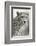 Livingstone, Zambia, Africa. Cheetah-Janet Muir-Framed Photographic Print