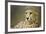 Livingstone, Zambia, Africa. Cheetah-Janet Muir-Framed Photographic Print