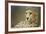 Livingstone, Zambia, Africa. Cheetah-Janet Muir-Framed Photographic Print