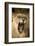 Livingstone, Zambia, Africa. Lioness Calling Out-Janet Muir-Framed Photographic Print