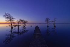 Dawn At Lake Mattamuskeet-Liyun Yu-Stretched Canvas