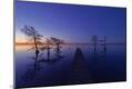 Photographic Print