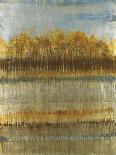 Surface of the Lake-Liz Jardine-Art Print