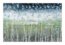Aqua Splash-Liz Nichtberger-Laminated Giclee Print