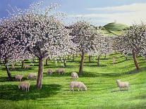 Celebration of Apple Blossom in Somerset, 2004-Liz Wright-Giclee Print