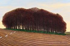 Dorset Clump of Trees, 2012-Liz Wright-Giclee Print
