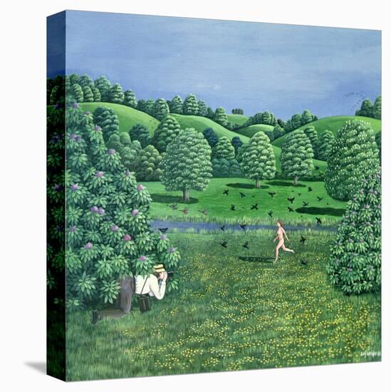 Stretched Canvas Print, , large