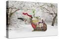 Stretched Canvas Print