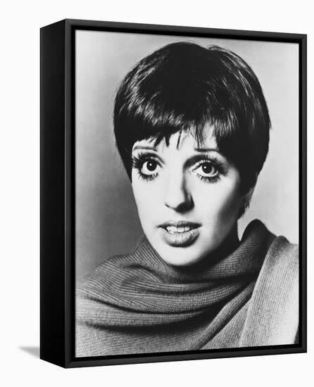 Liza Minnelli-null-Framed Stretched Canvas