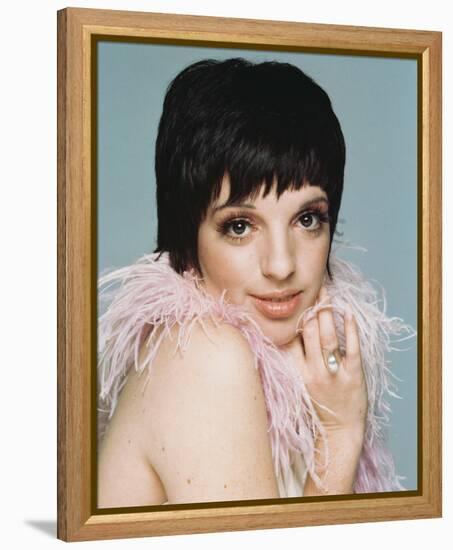 Liza Minnelli-null-Framed Stretched Canvas