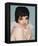 Liza Minnelli-null-Framed Stretched Canvas