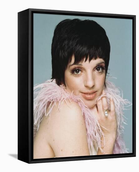 Liza Minnelli-null-Framed Stretched Canvas