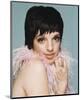 Liza Minnelli-null-Mounted Photo