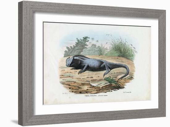 Lizard, 1863-79-Raimundo Petraroja-Framed Giclee Print