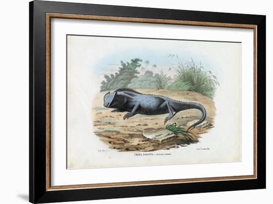 Lizard, 1863-79-Raimundo Petraroja-Framed Giclee Print